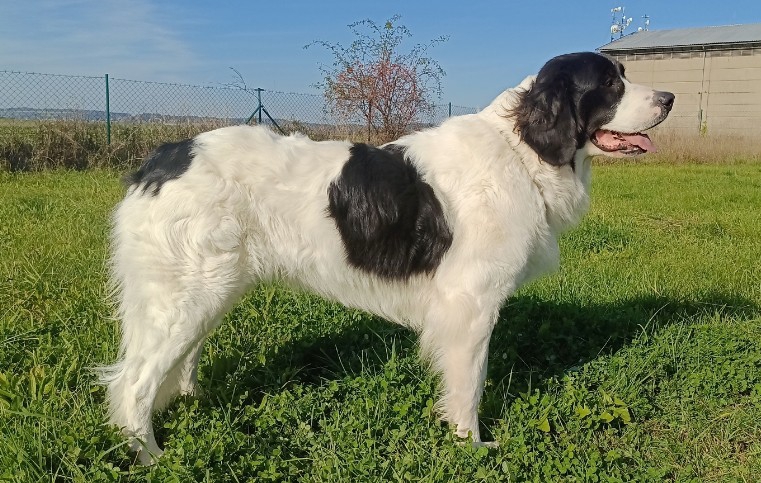 Ashley_z_podorlickych_albrechtic Ashley_z_podorlickych_albrechtic