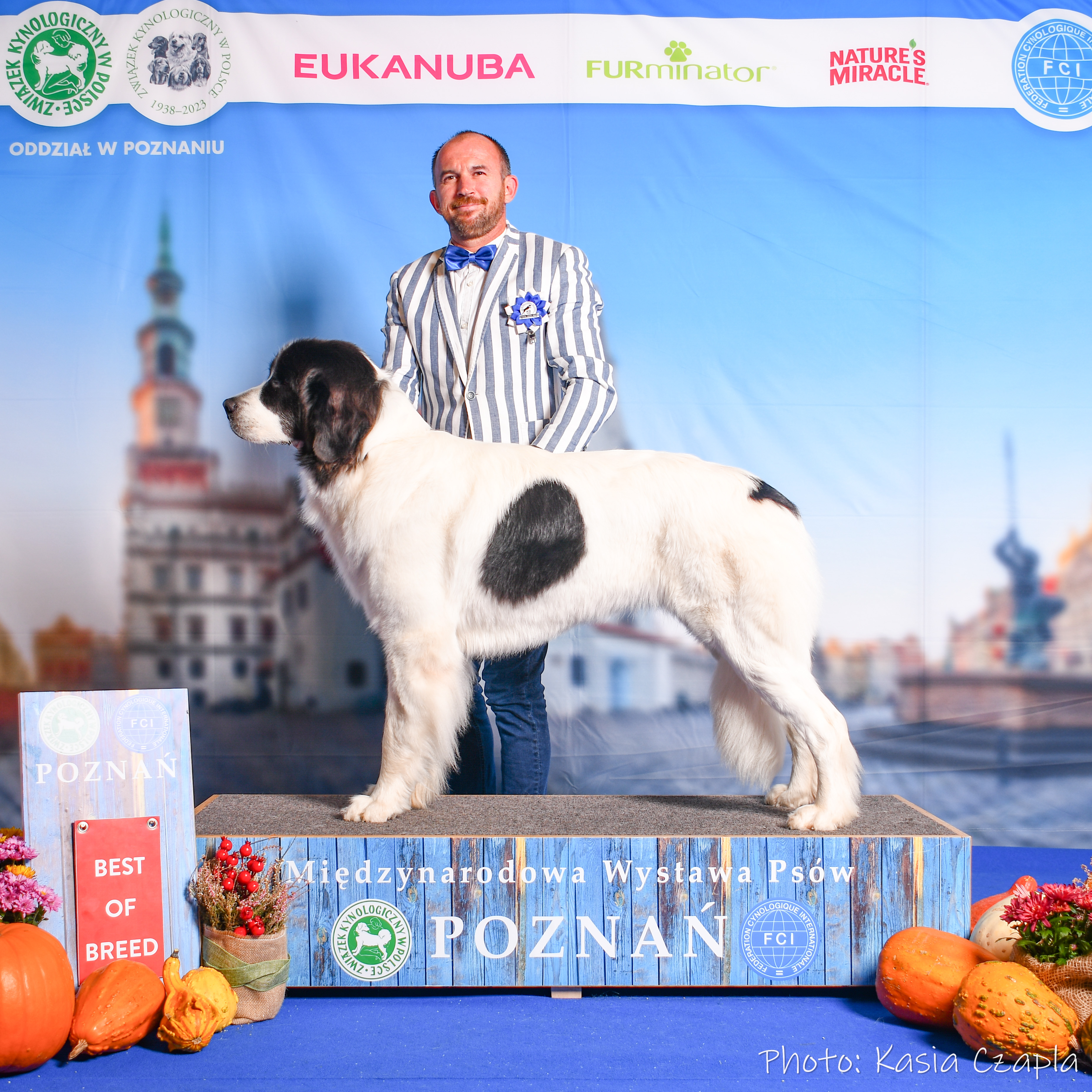 City_novemestecko City_novemestecko