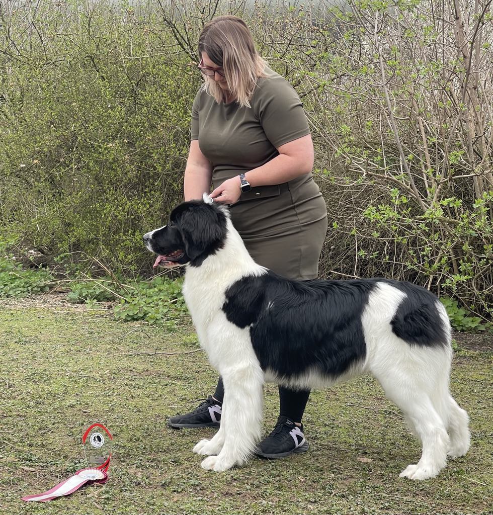 Wafaa-radu-us-arsnouphis Wafaa-radu-us-arsnouphis