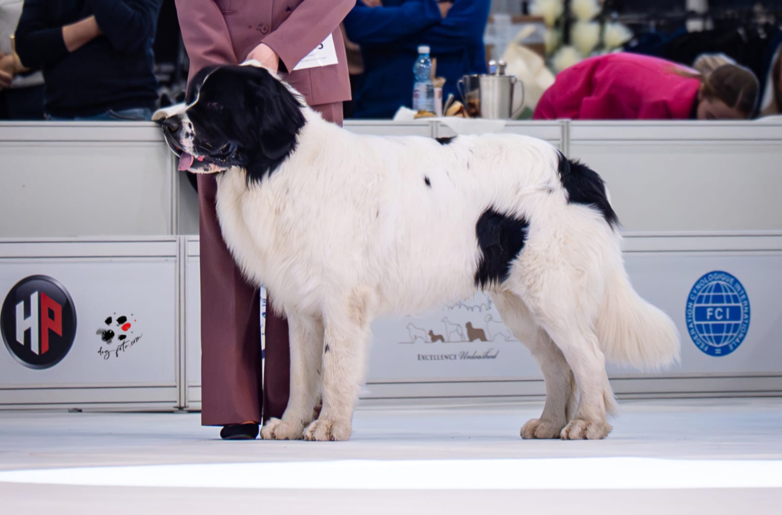 Athos_discobolos Athos_discobolos