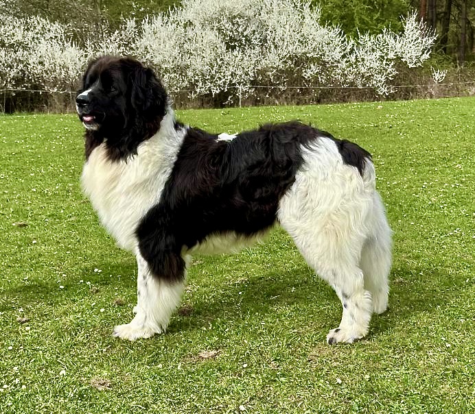 Lukas-z-letohradskeho-rance-foto-jpg Lukas-z-letohradskeho-rance-foto-jpg