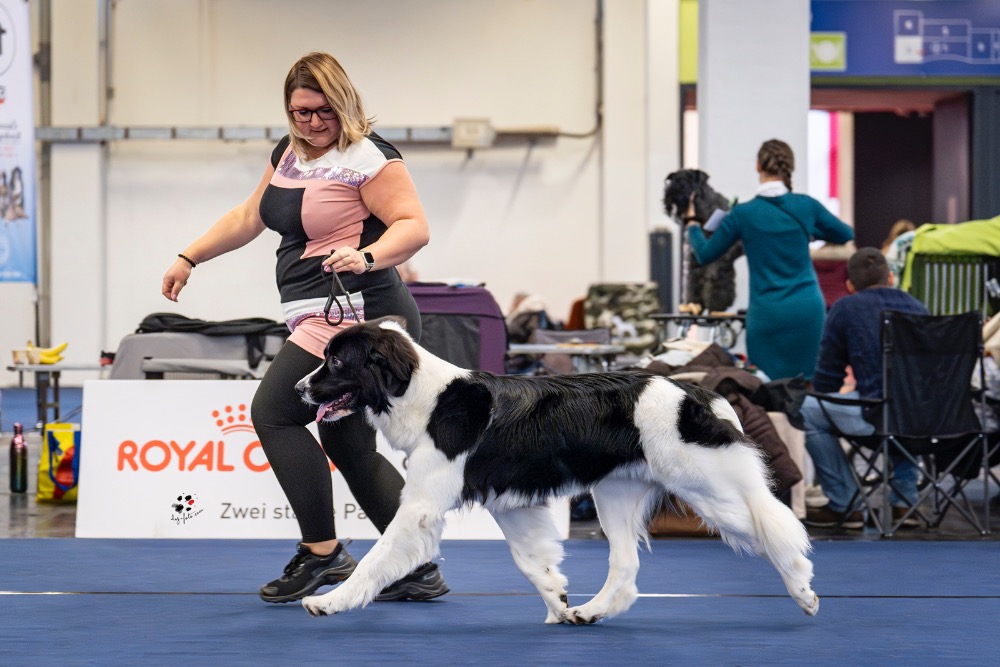 Wafaa-v-hale1 Wafaa-v-hale1