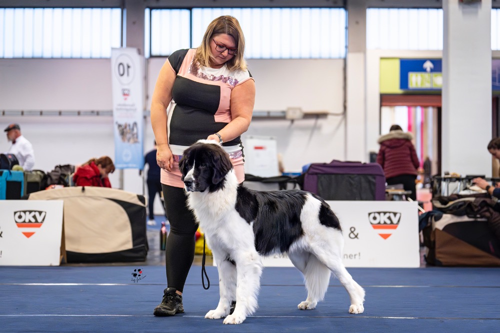 Wafaa-v-hale2 Wafaa-v-hale2